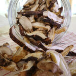 말린 표고버섯 효능과 영양소 살리는 활용법